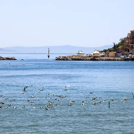 아파트 Nevistic 포드스트라나